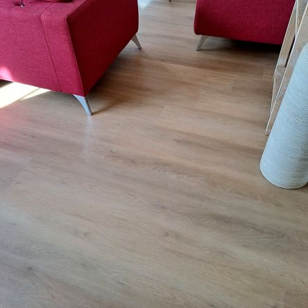 Site en cours de réalisation par torop.net
